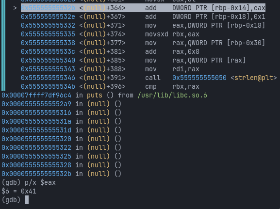 The binary was ran with 'AAAAAAA' as serial, 0x41 is the hexadecimal value of A